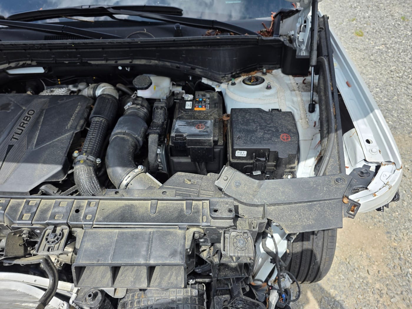 2025 Hyundai Santa Fe MX5 Gasoline 2.5T 2WD (S/N: 056324) 23