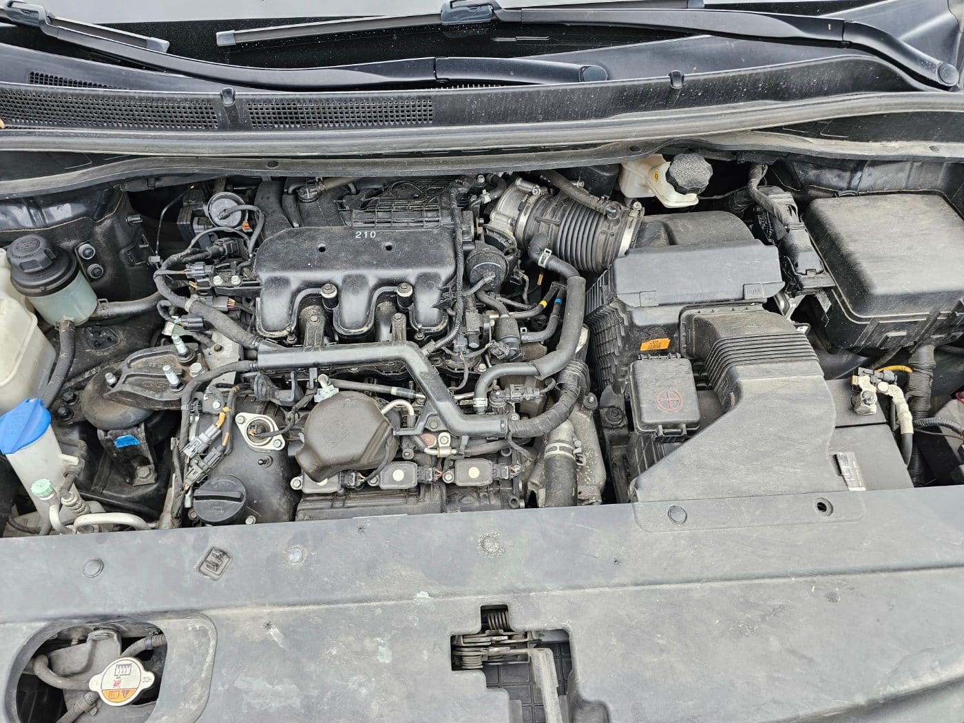 2020 Kia The New Carnival Gasoline (666424) pre-producted 28