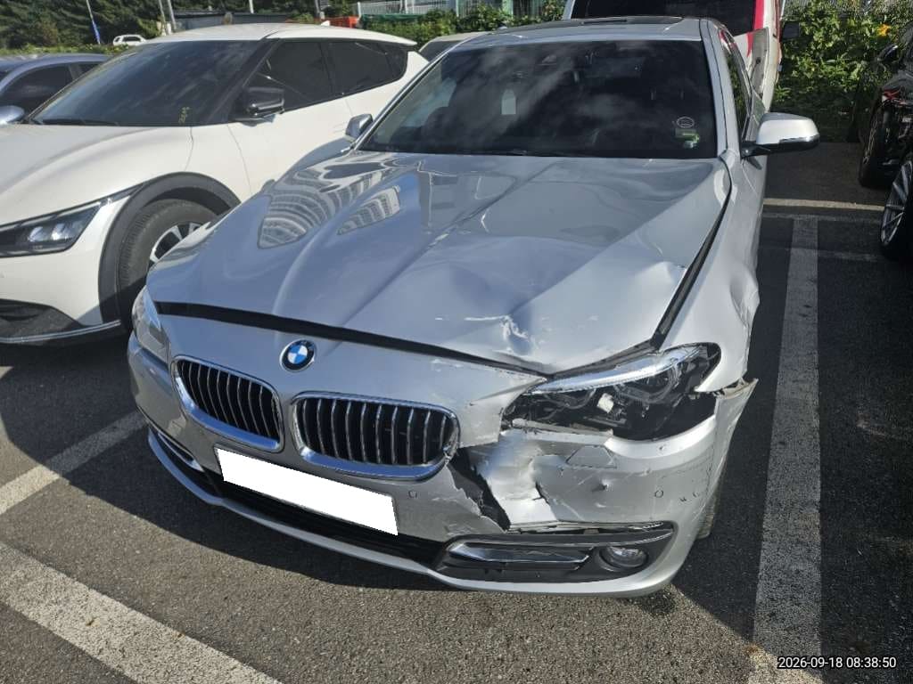 2014 BMW 5 Series (F10) 520d xDrive (028871) pre-producted 3