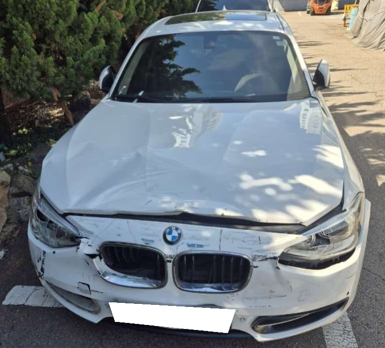 2013 BMW 1 Series (F20) 120d Sport (532739) pre-producted