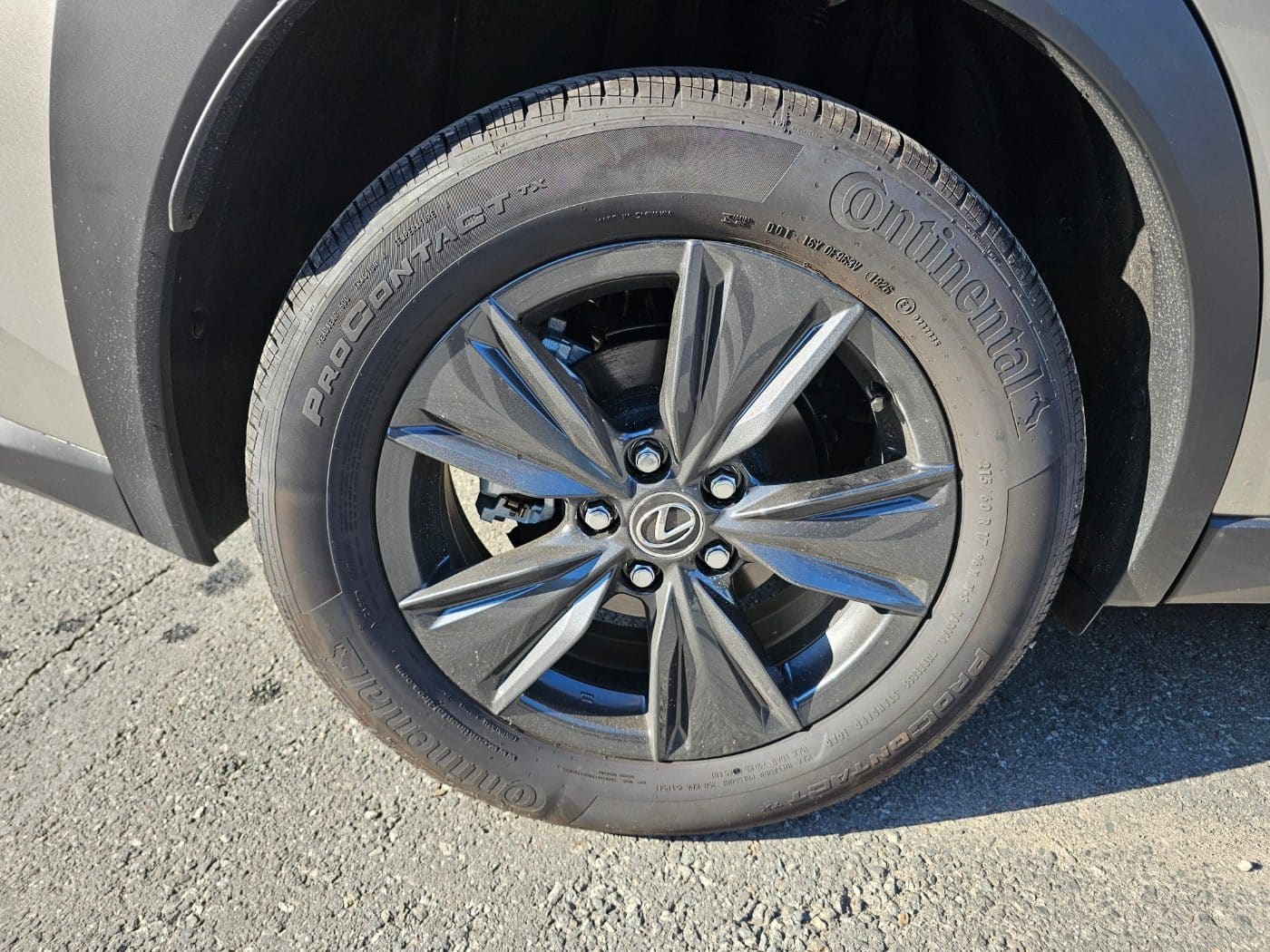 2027 Lexus UX 300h 2.0 (S/N: 047360) 16