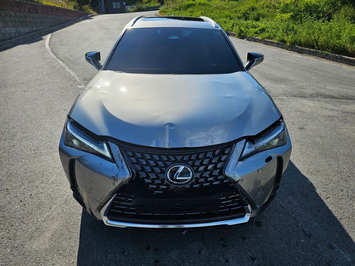 2027 Lexus UX 300h 2.0 (S/N: 047360) 2