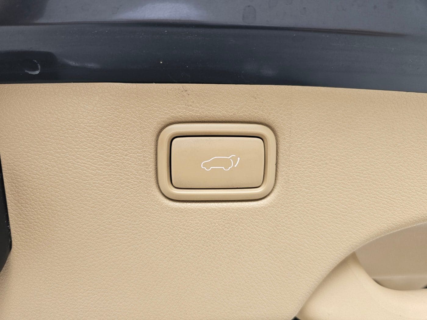 2020 Kia The New Carnival Gasoline (666424) pre-producted 17