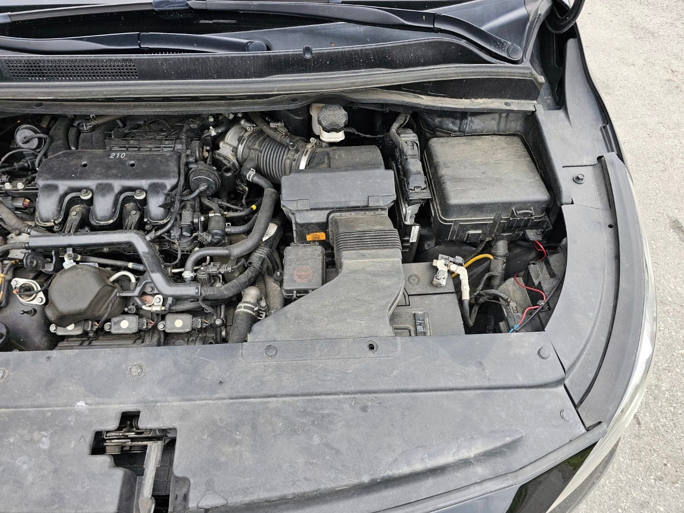 2020 Kia The New Carnival Gasoline (666424) pre-producted 26