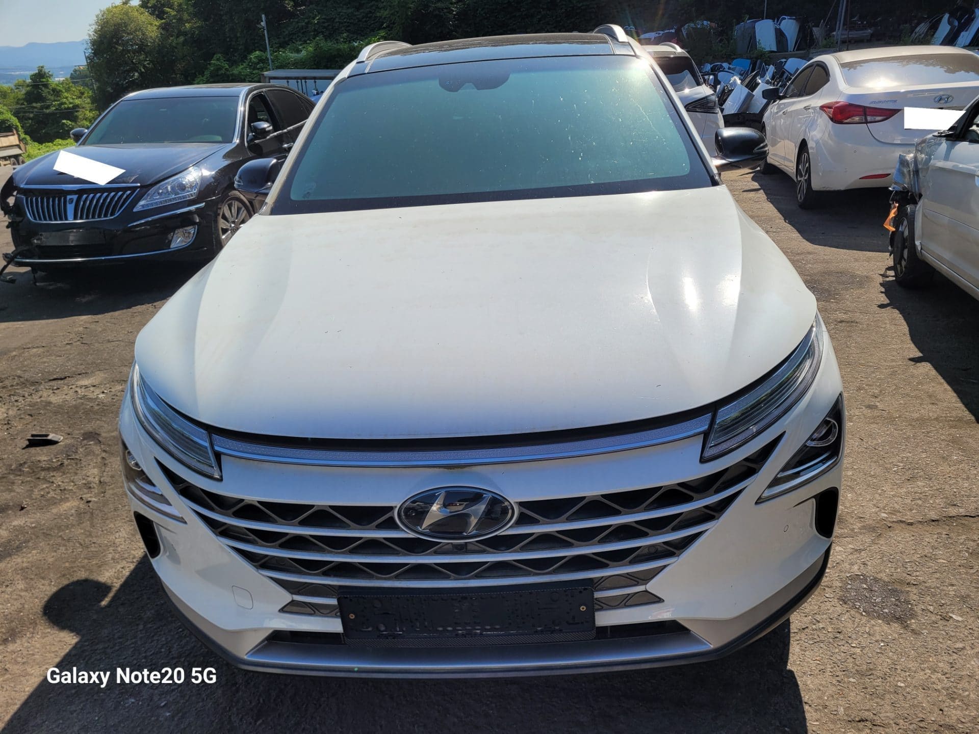2024 Hyundai Nexo Premium (038853) pre-producted
