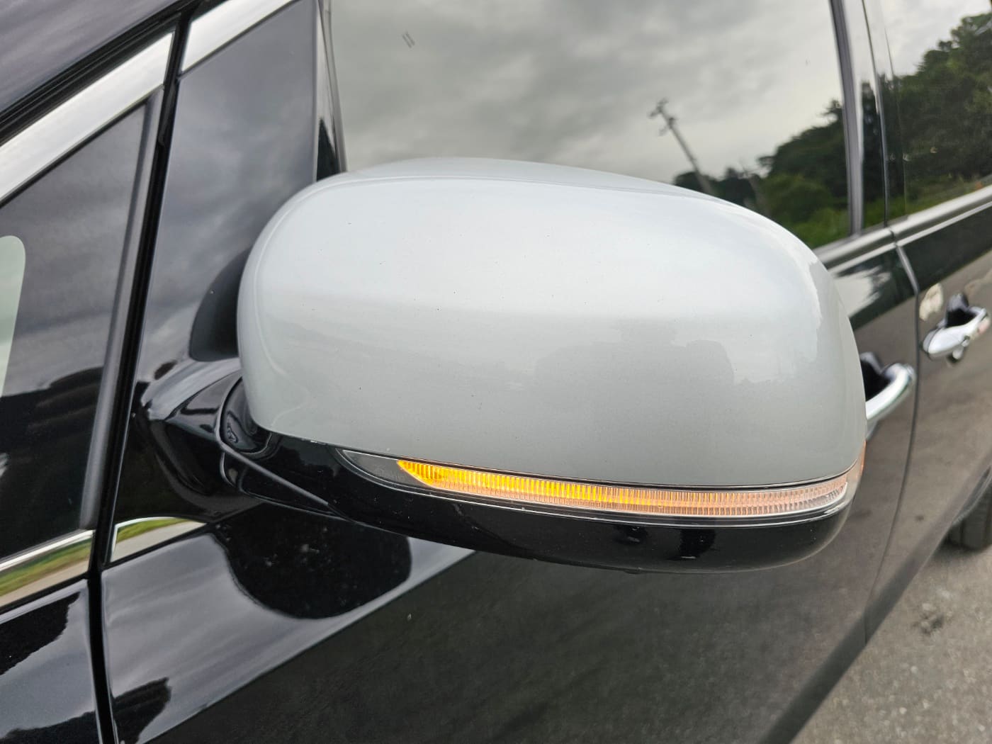 2020 Kia The New Carnival Gasoline (666424) pre-producted 10