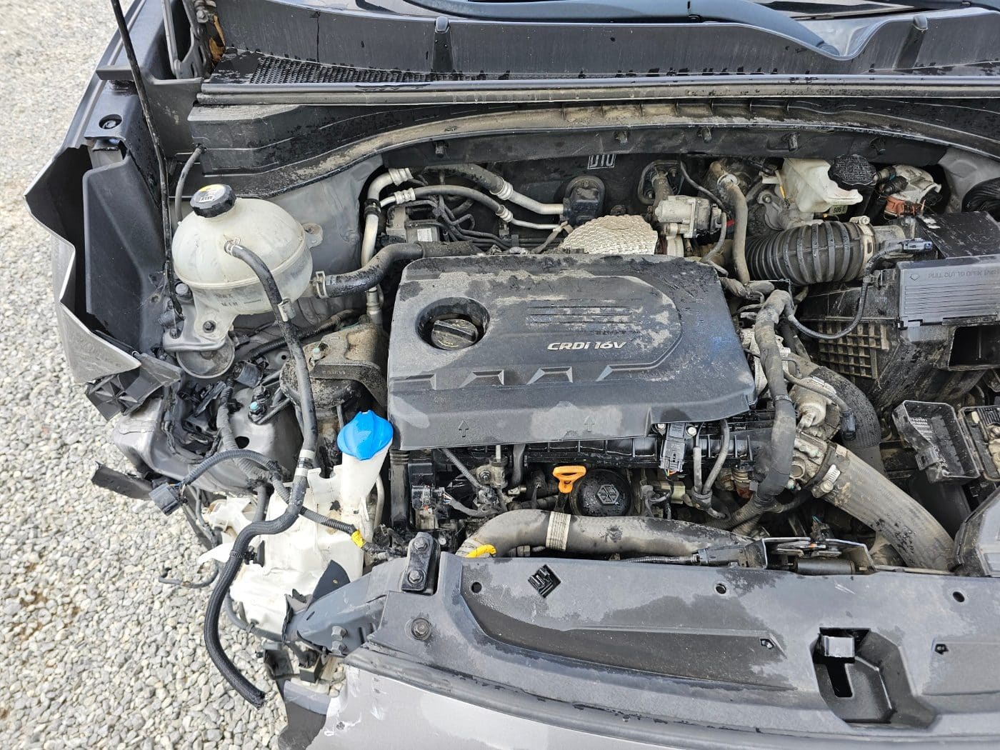 2016 Kia Sportage 4th gen (QL) Diesel 1.7 2WD (S/N: 018827) 24