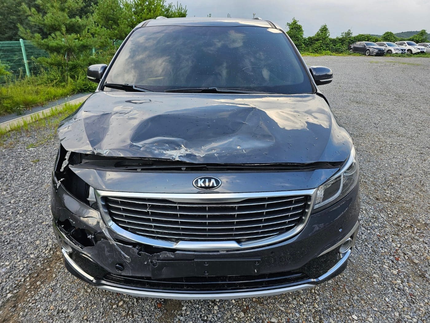 2016 Kia All New Carnival Diesel Limousine (S/N: 092376) 2