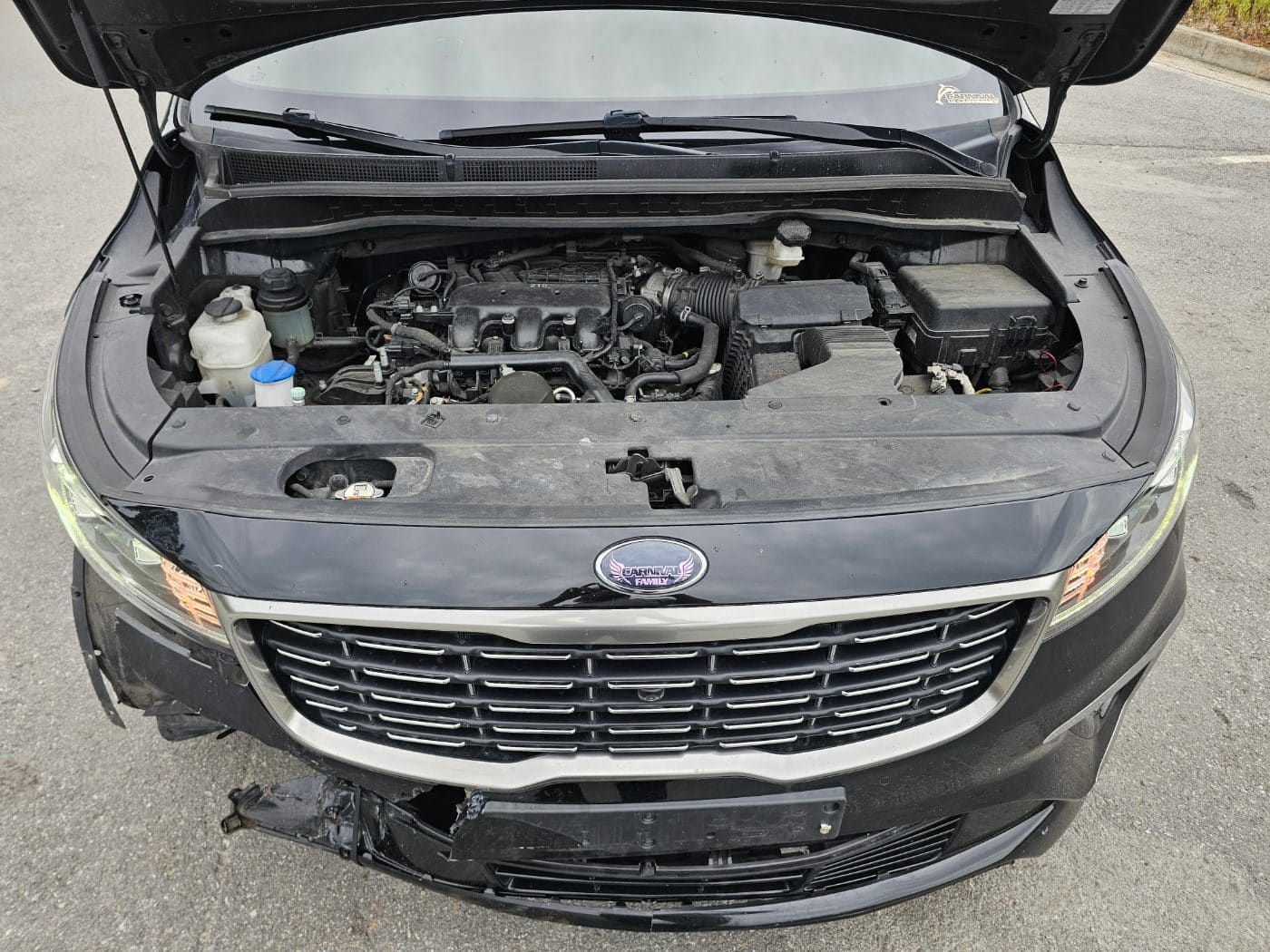 2020 Kia The New Carnival Gasoline (666424) pre-producted 25