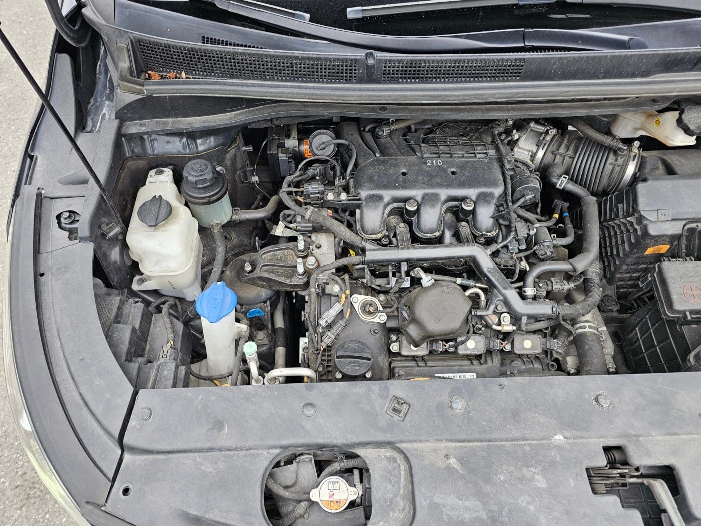 2020 Kia The New Carnival Gasoline (666424) pre-producted 27