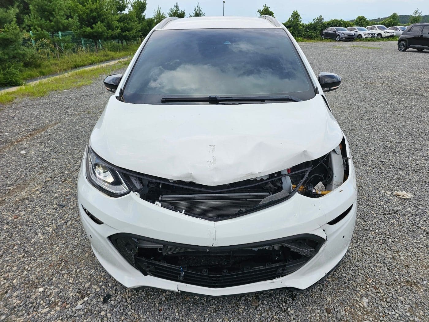 2019 Chevrolet Bolt EV LT (S/N: 128845) 2