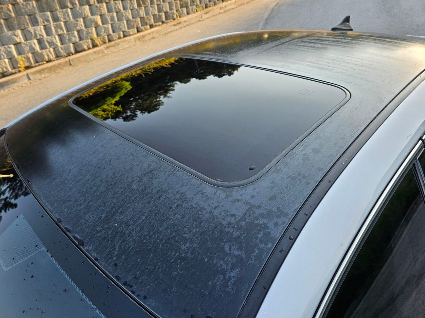 2009 Lexus IS250 STD (S/N: 092332) 20