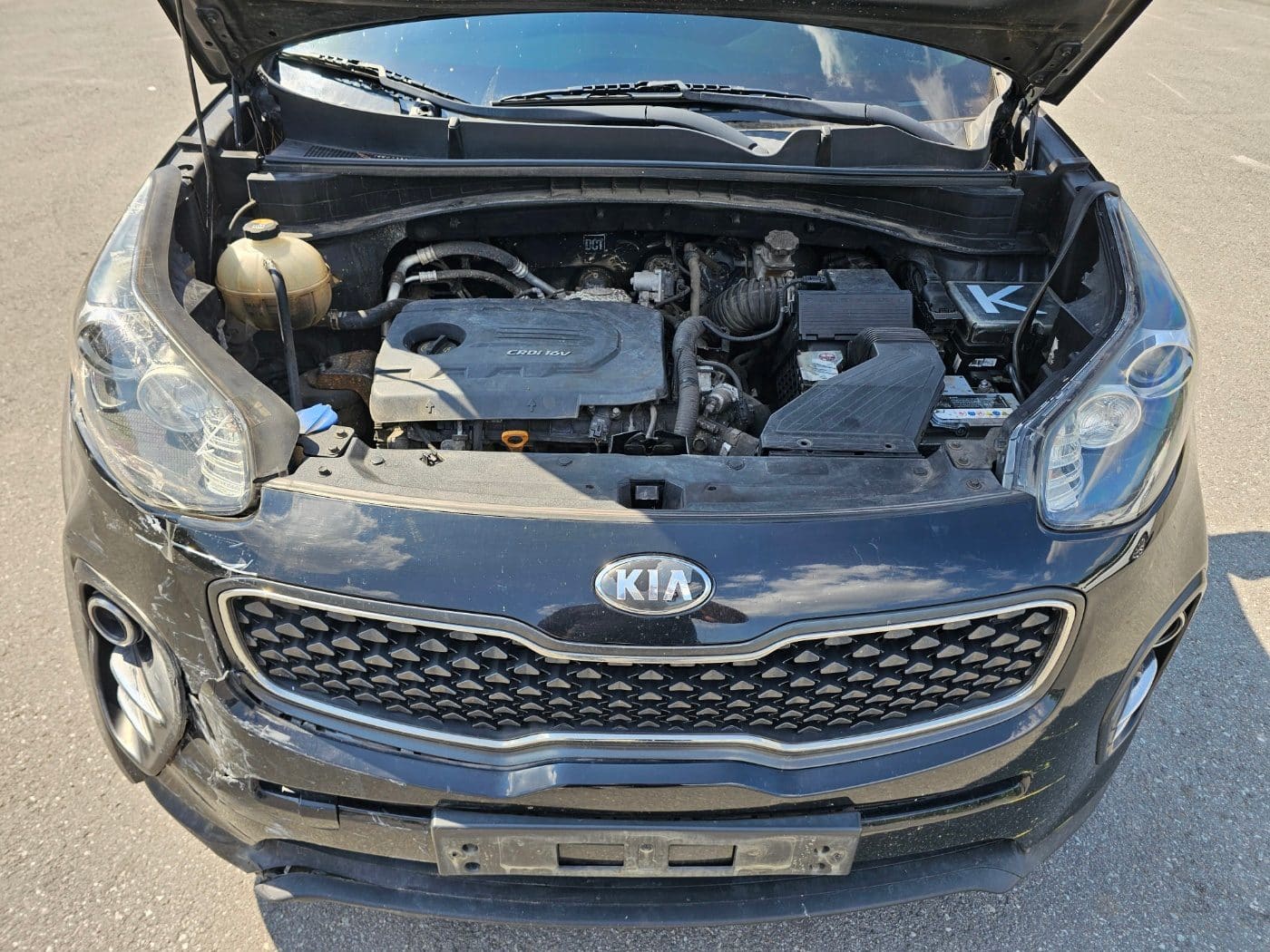 2018 Kia Sportage 4th Gen (QL) Diesel 1.7 2WD (S/N: 446225) 19