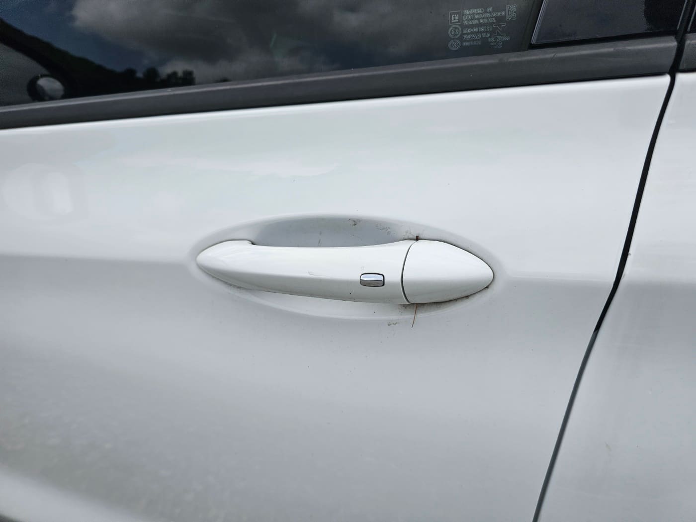 2018 Chevrolet Bolt EV EV Premier (S/N: 129093) 17