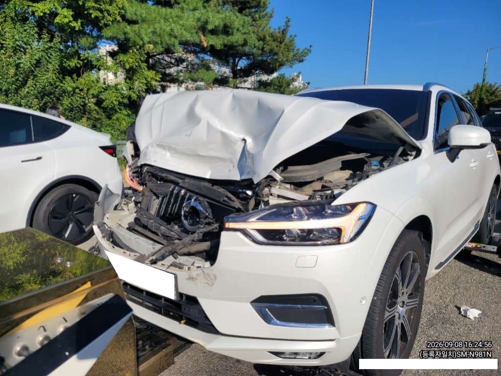 2020 Volvo XC60 (2nd Gen) D5 AWD (543927) pre-producted