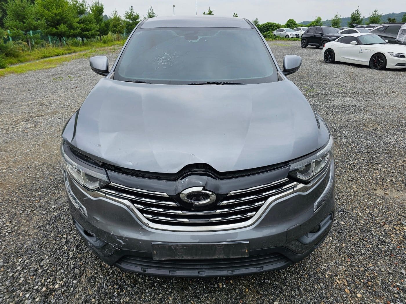 2019 Renault QM6 Gasoline 2WD (S/N: 020095) 2