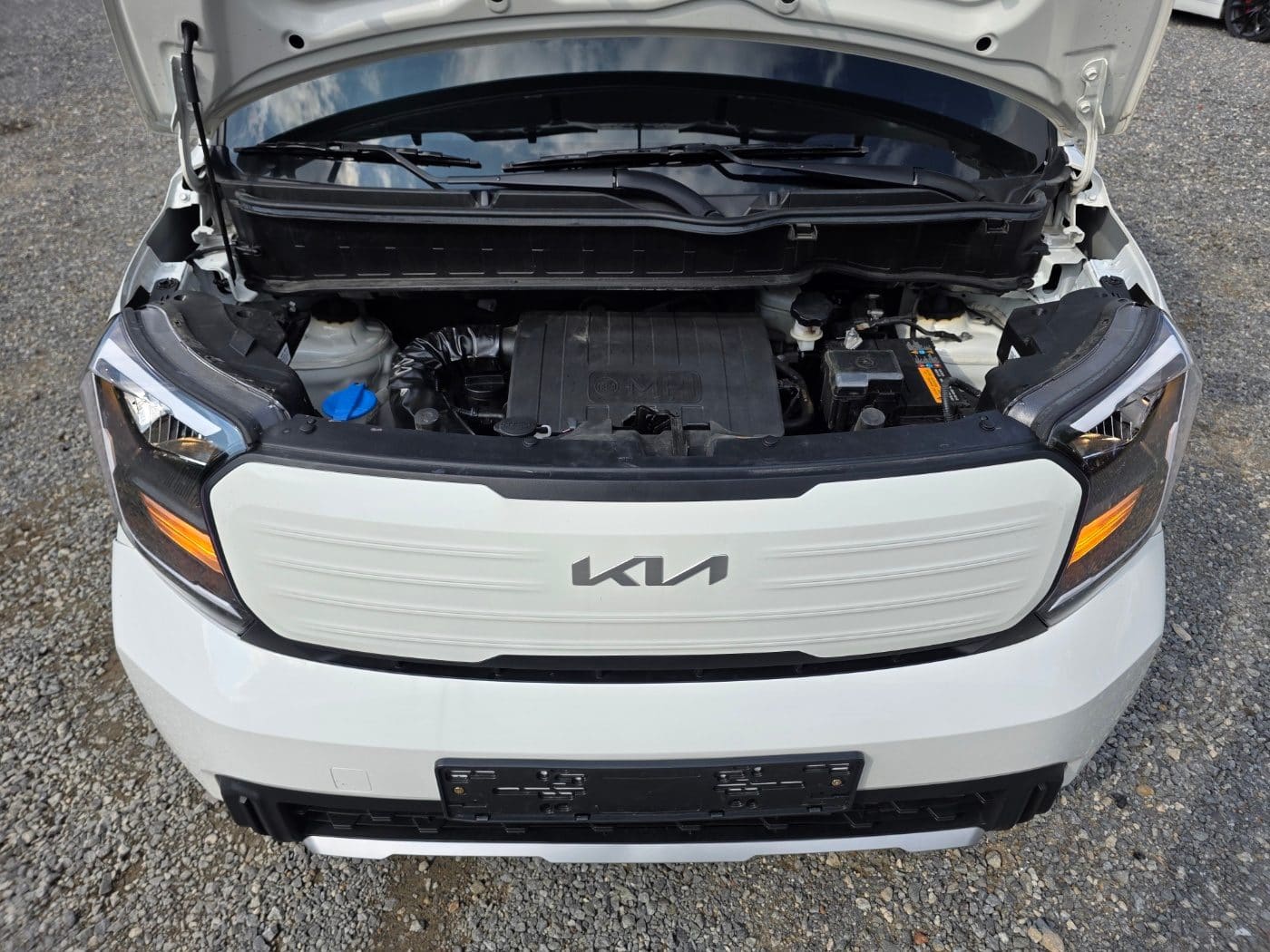 2025 Kia THE NEW RAY 1.0 (S/N: 434819) 19