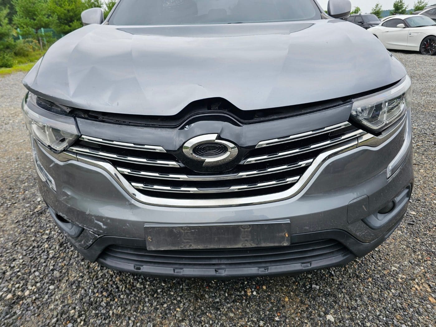 2019 Renault QM6 Gasoline 2WD (S/N: 020095) 51