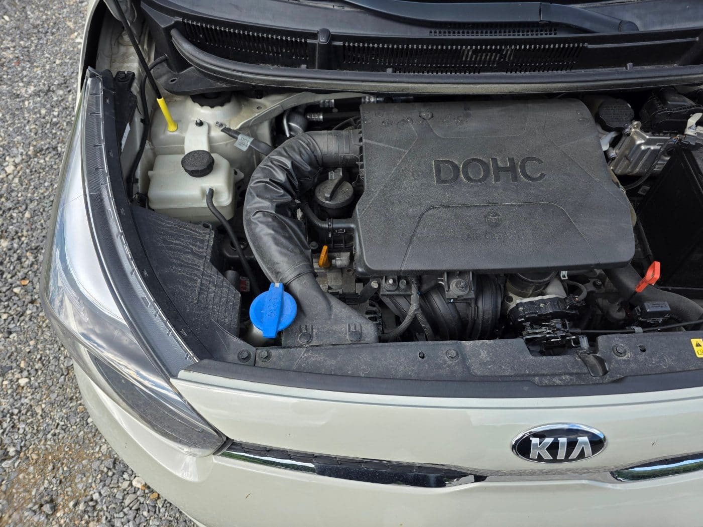 2019 Kia All New Morning (S/N: 454866) 19