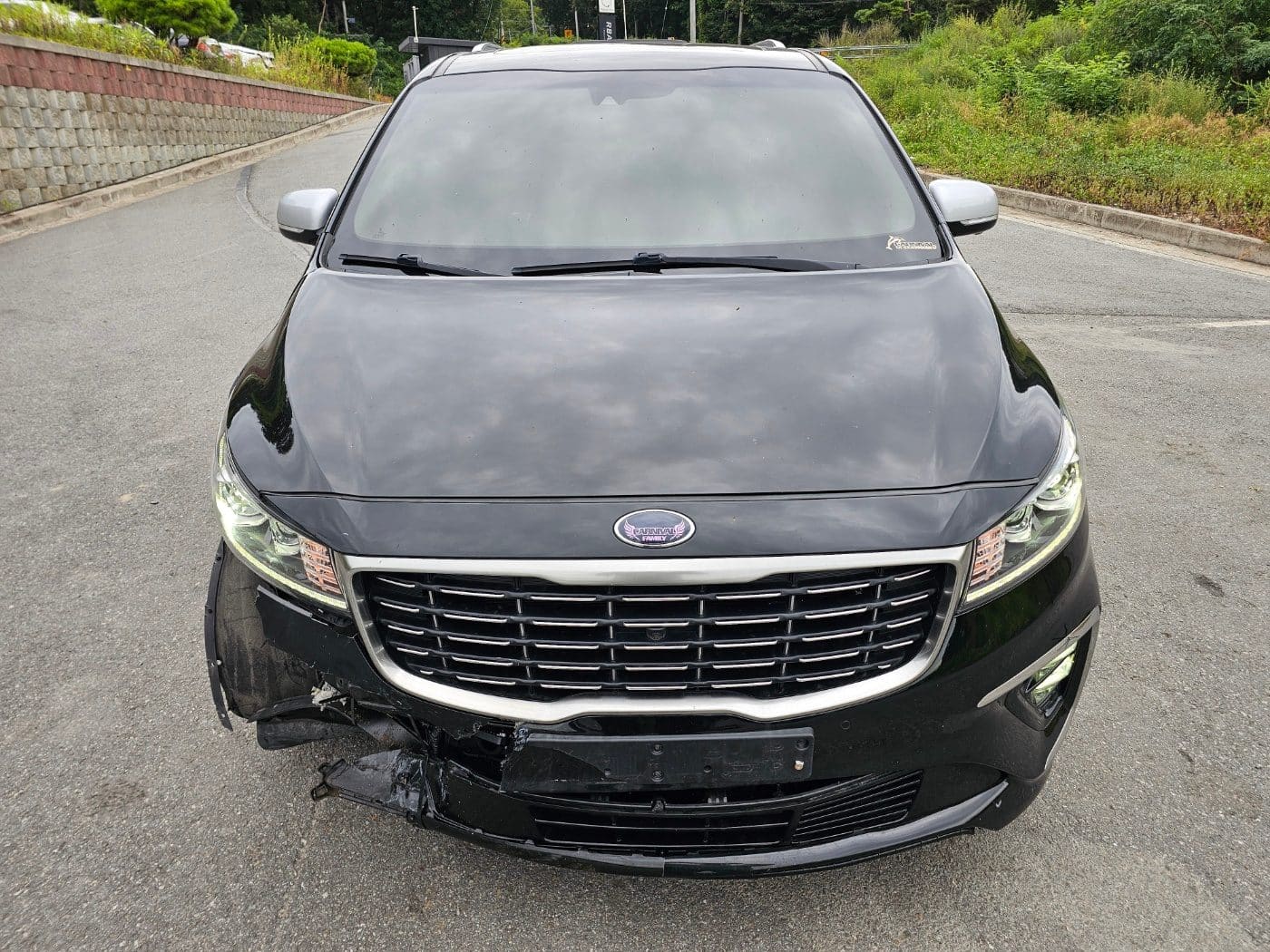 2020 Kia The New Carnival Gasoline (666424) pre-producted 2