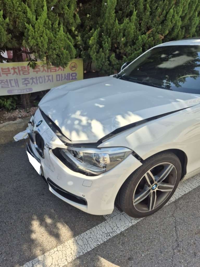 2013 BMW 1 Series (F20) 120d Sport (532739) pre-producted 3