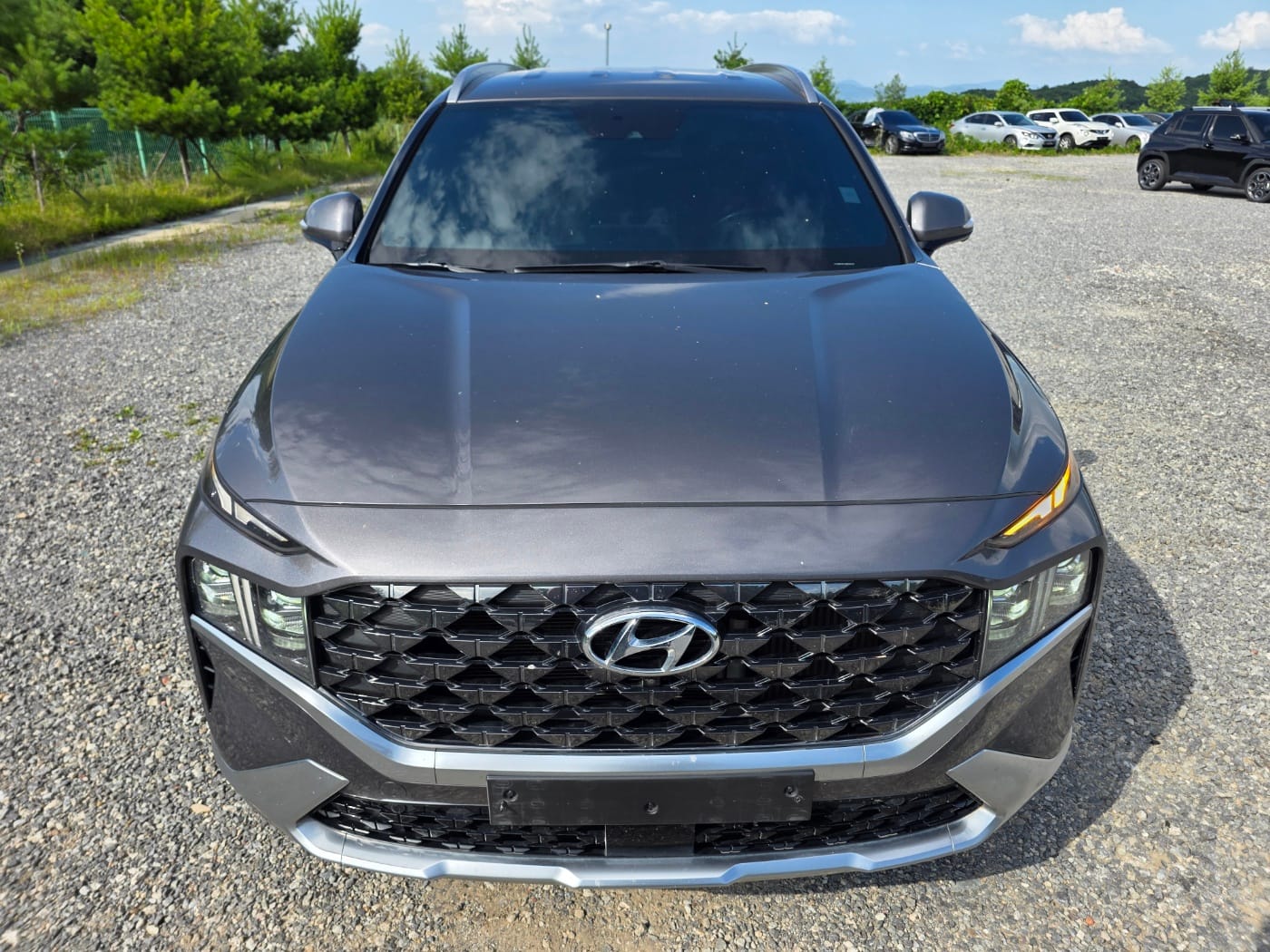 2021 Hyundai The New Santa Fe Gasoline 2.5T 4WD(S/N: 366130) 2