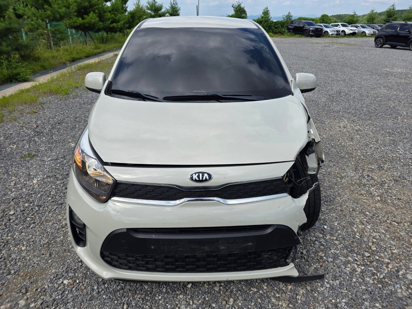 2019 Kia All New Morning (S/N: 454866) 2