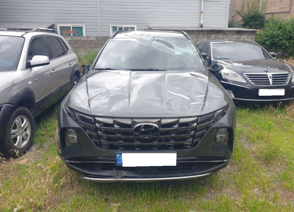 2021 Hyundai Tucson (NX4) Gasoline 1.6 Turbo 4WD (070043) pre-producted